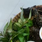 Gà Đen Tây Bắc – Xu Hướng Ẩm Thực Sạch Và Bổ Dưỡng Cho Người Việt Hiện Đại